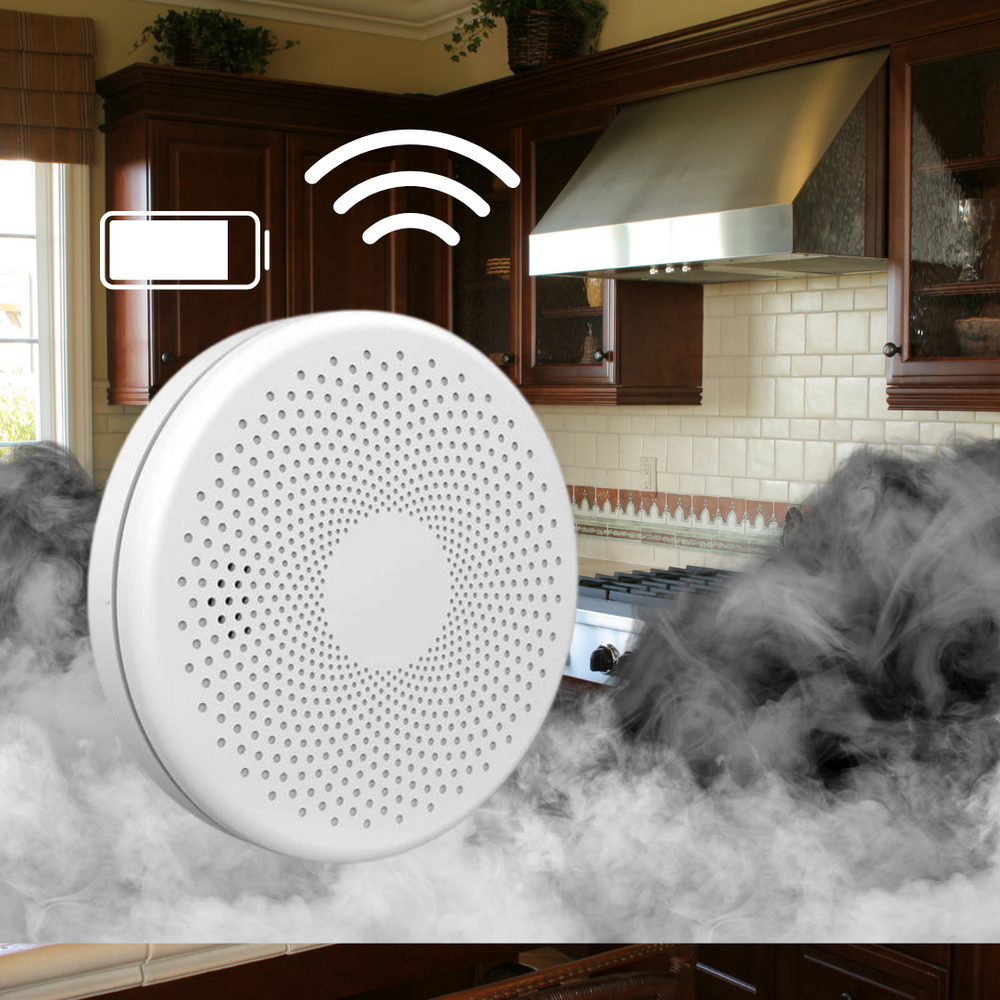 Smart Smoke/CO Detector